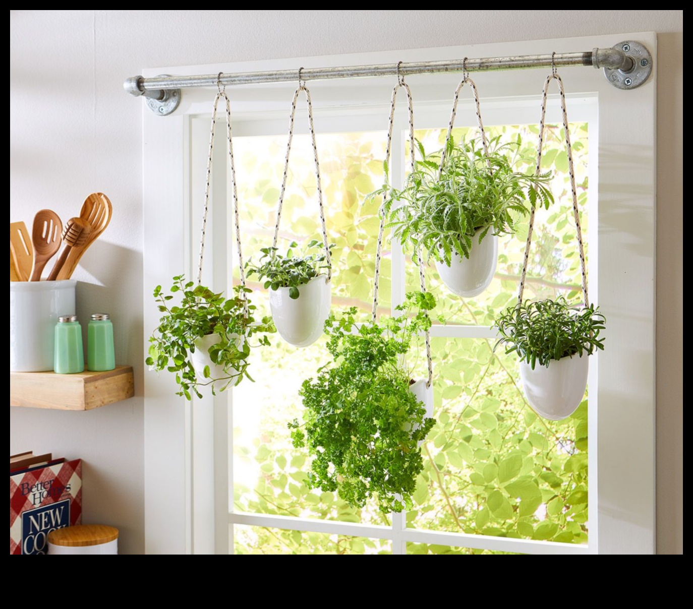 Pocket-Sized Greenery: Discovering the Joy of Indoor Gardens