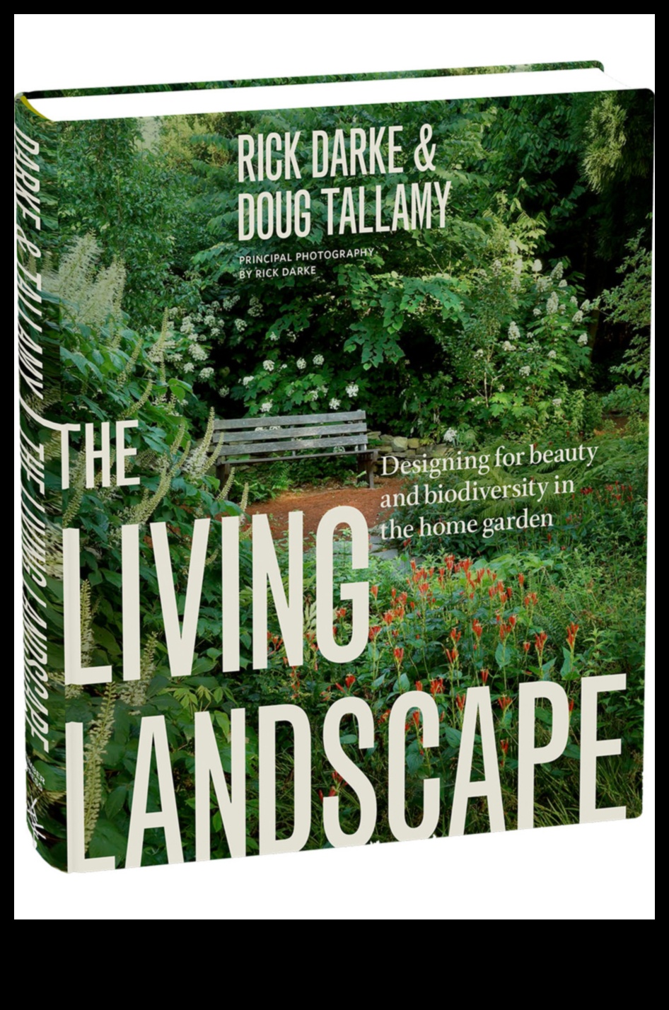 Visions of Earth: A Pictorial Journey Through Beautiful Landscapes