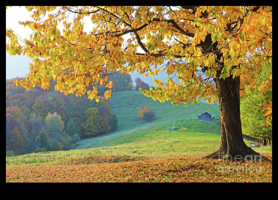 The Magic of Autumn's Landscape 1