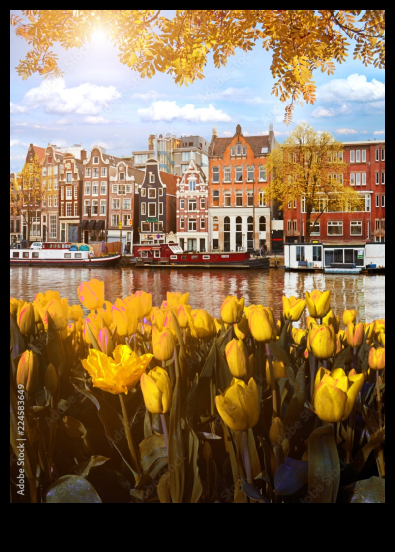 Symphony of Colors: Exploring Autumn Landscapes