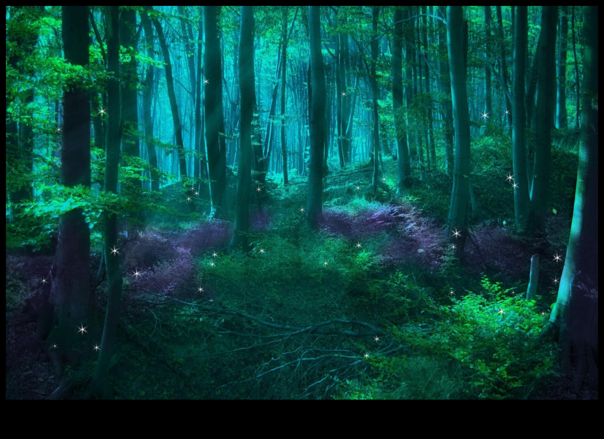 Enchanted Forests: Mysteries Hidden in Woodland Scenes