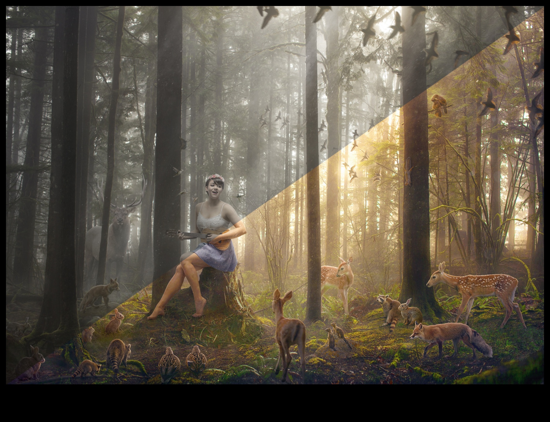 Mystical Woodlands: Forest Scenes and Their Enchantments