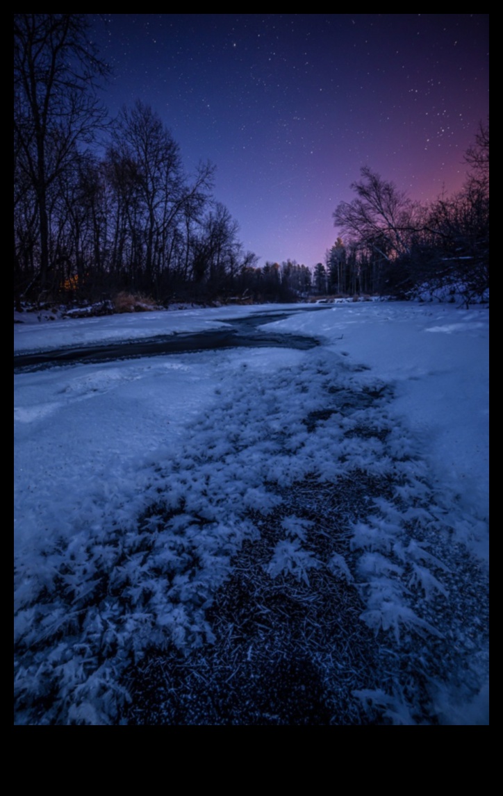 Twilight Tranquility: Evening Calm in Different Landscapes