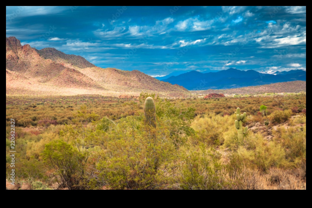 Landscapes Unleashed: A Photo Odyssey