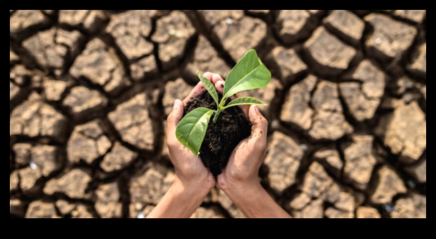 The Many Faces of Soil Degradation 1