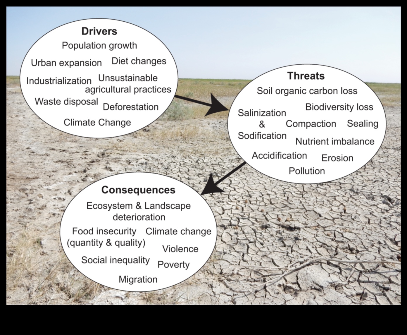 Why are certain landscapes more susceptible to soil degradation?