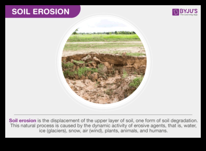 The Many Faces of Soil Erosion 1