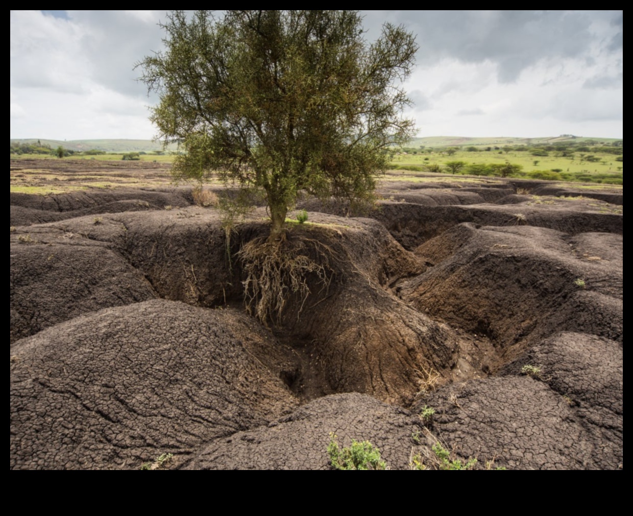 Why are certain landscapes more prone to soil erosion?