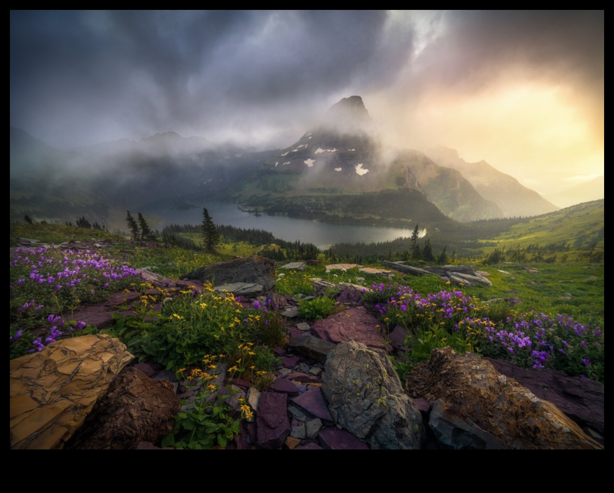 Lush Horizons: Exploring the Richness of Nature's Landscapes in Every Frame