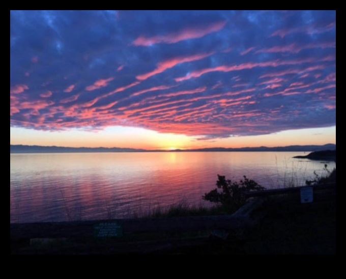 The Many Moods of the Shoreline 1
