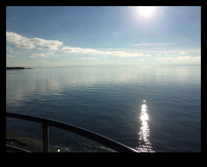 Coastal Charms: Shoreline Views Explored