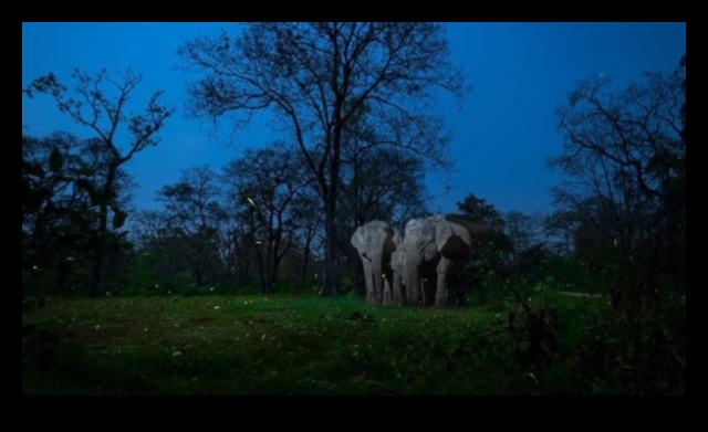 Digital Art Inspired by Nature: Pixels of Natural Beauty