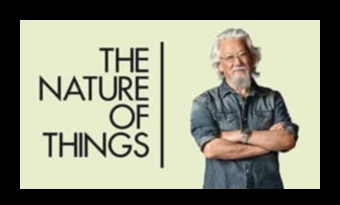 A Walk Through Nature: Beautiful Landscapes Unveiled