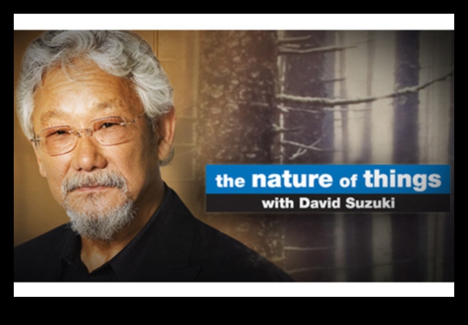 A Walk Through Nature: Beautiful Landscapes Unveiled