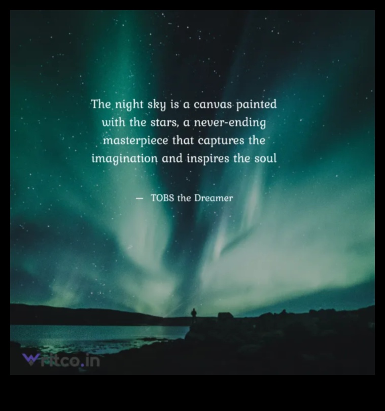 The Night Sky A Canvas for the Imagination 1