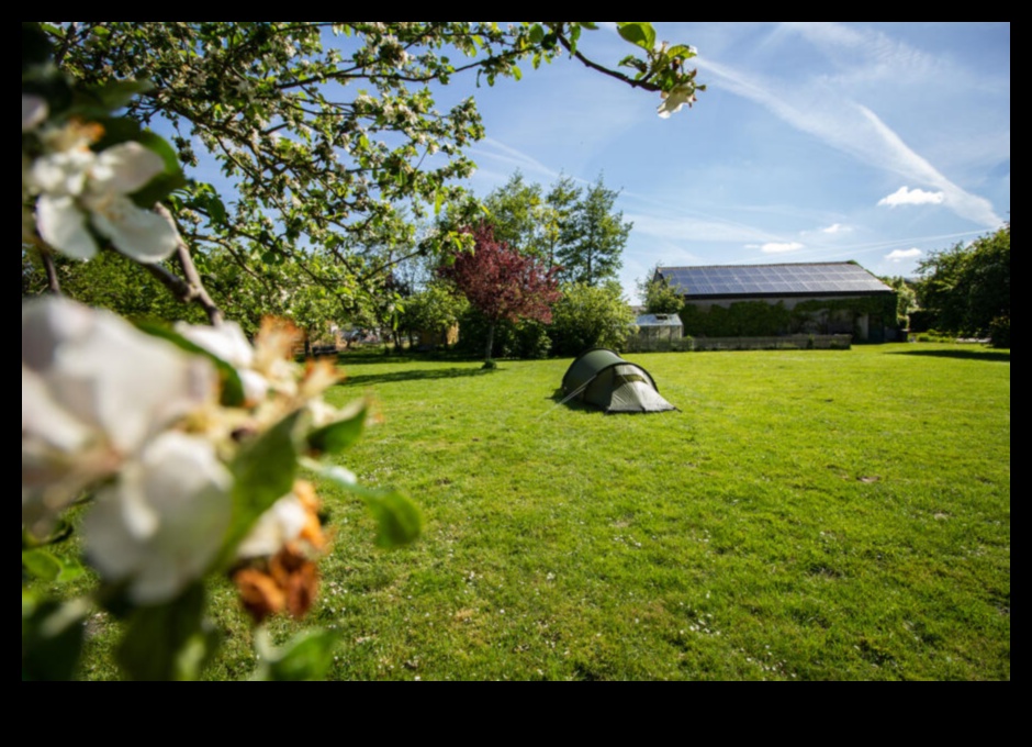 The Orchard A Place of Peace and Tranquility 1