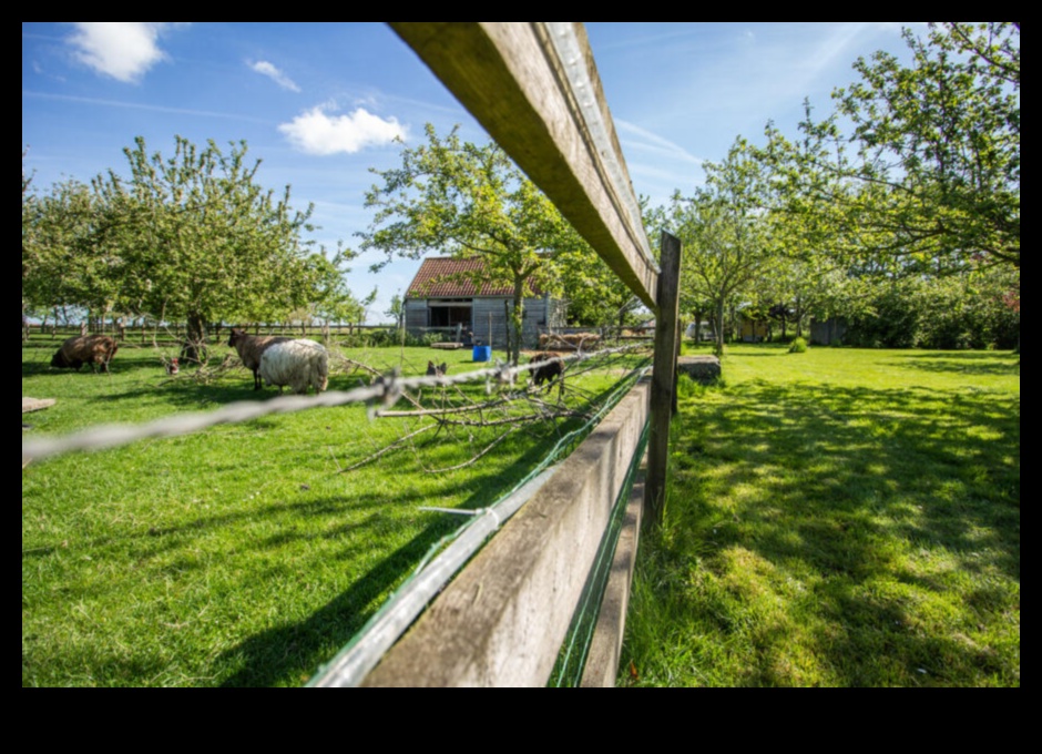 Orchards in Every Season: The Charm of Fruitful Landscapes