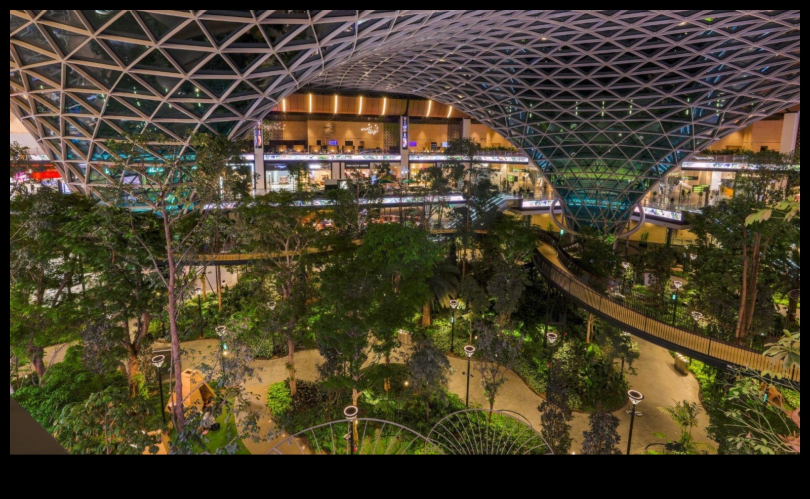 Orchards in Every Season: The Charm of Fruitful Landscapes