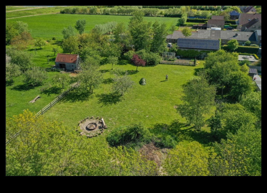 Orchards in Every Season: The Charm of Fruitful Landscapes