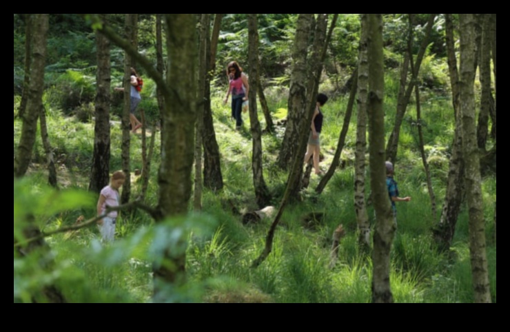 Nature's Symphony: Capturing Harmonious Landscapes in Pixels