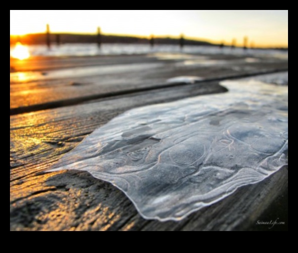 The Peaceful Tranquility of Nature 1