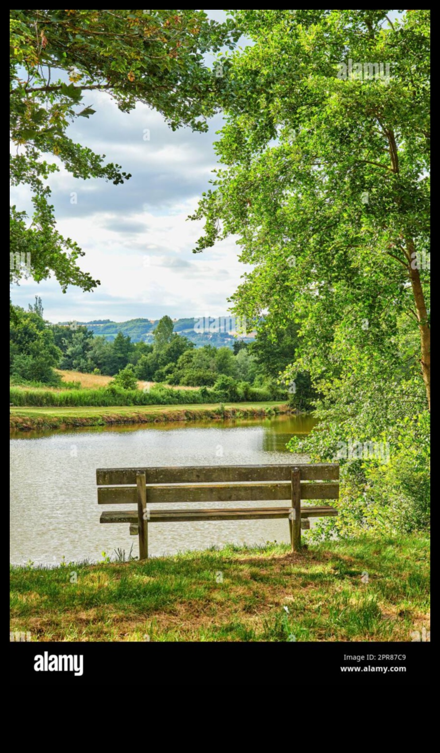 Capturing Calm: Serene Landscapes for Peaceful Moments