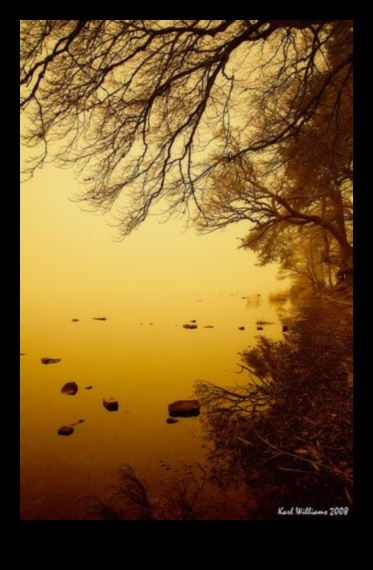 Capturing Calm: Serene Landscapes for Peaceful Moments