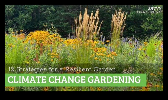 Roots of Resilience: The Strength Behind Expert Garden Care
