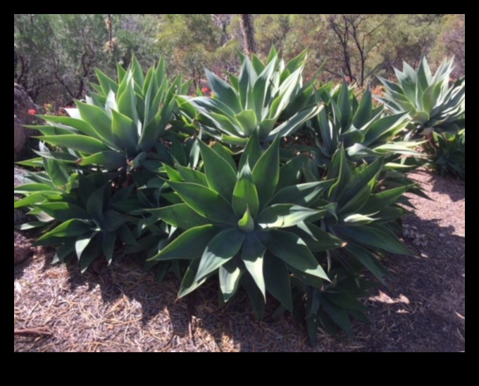 Roots of Resilience: The Strength Behind Expert Garden Care