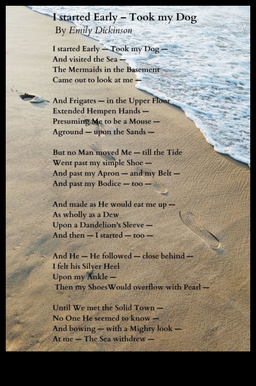 Sonnet to the Sea: Coastal Landscapes in Poetry
