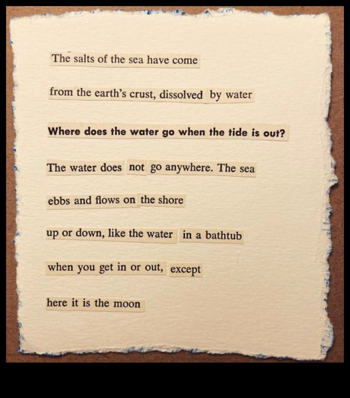 Sonnet to the Sea: Coastal Landscapes in Poetry