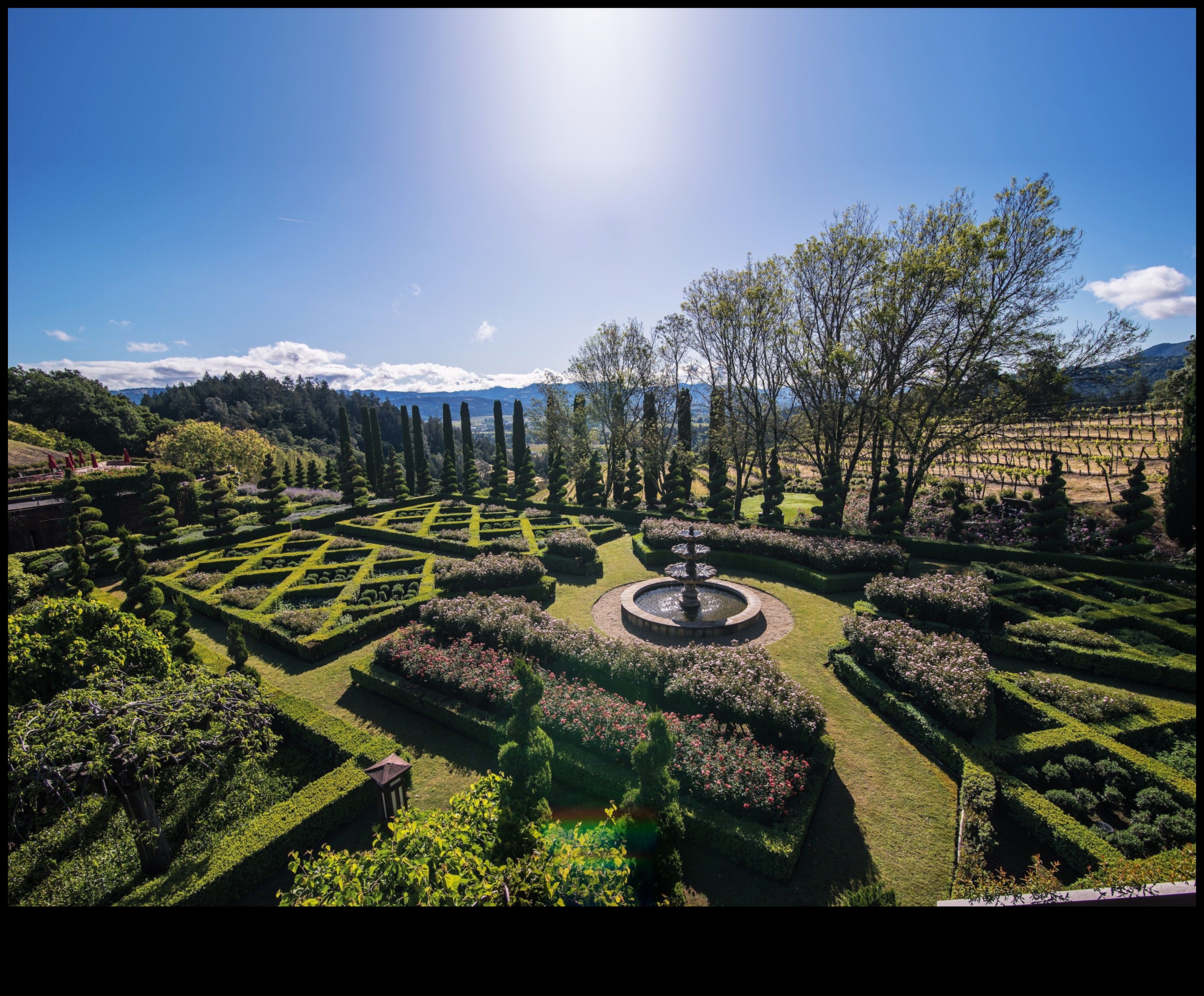 Secret Gardens: Hidden Gems Amongst Green Spaces