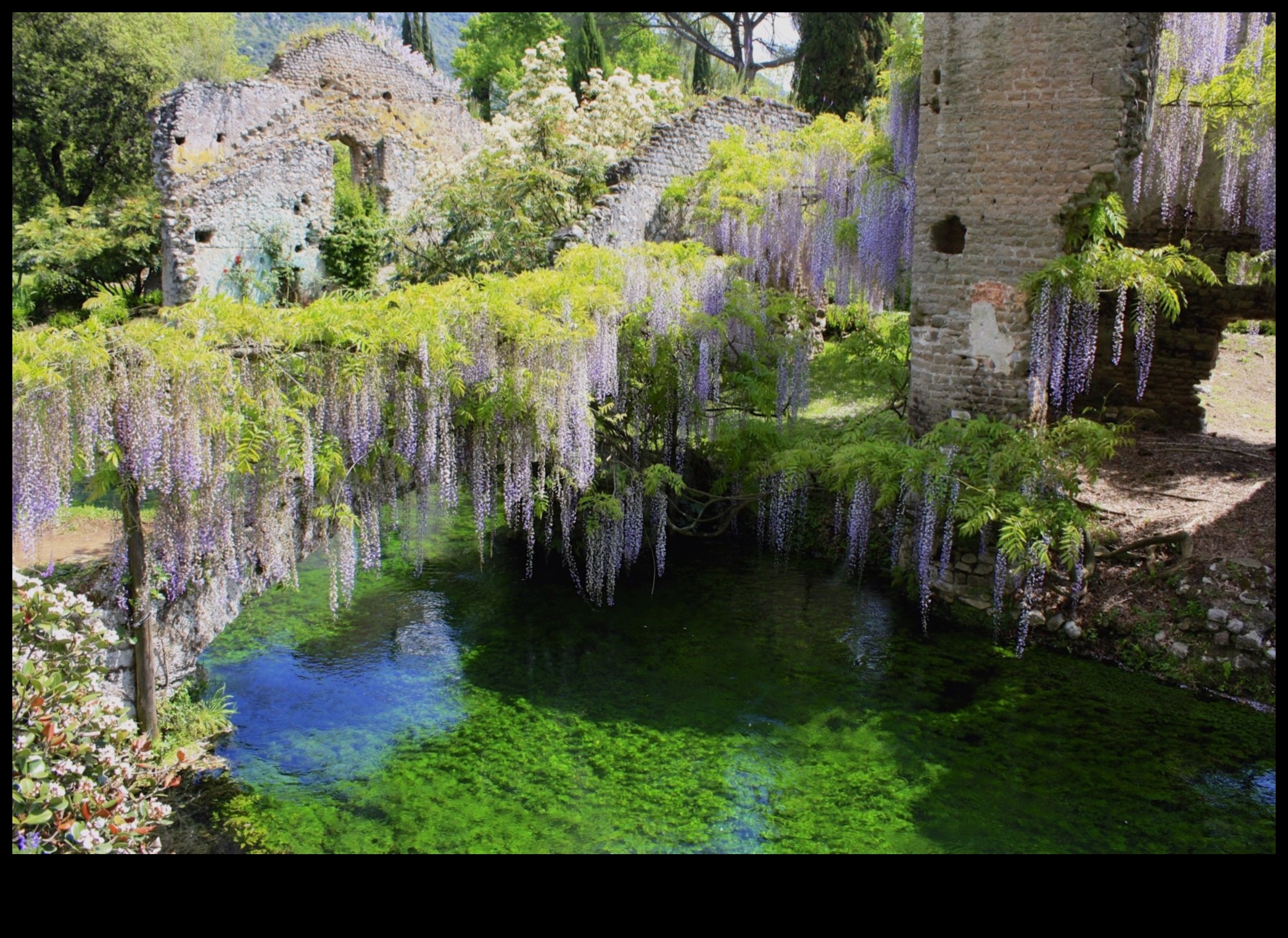 Secret Gardens: Hidden Gems Amongst Green Spaces