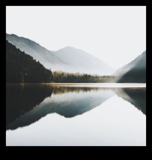 Tranquil Oases: Discovering Serenity in Landscape Photography