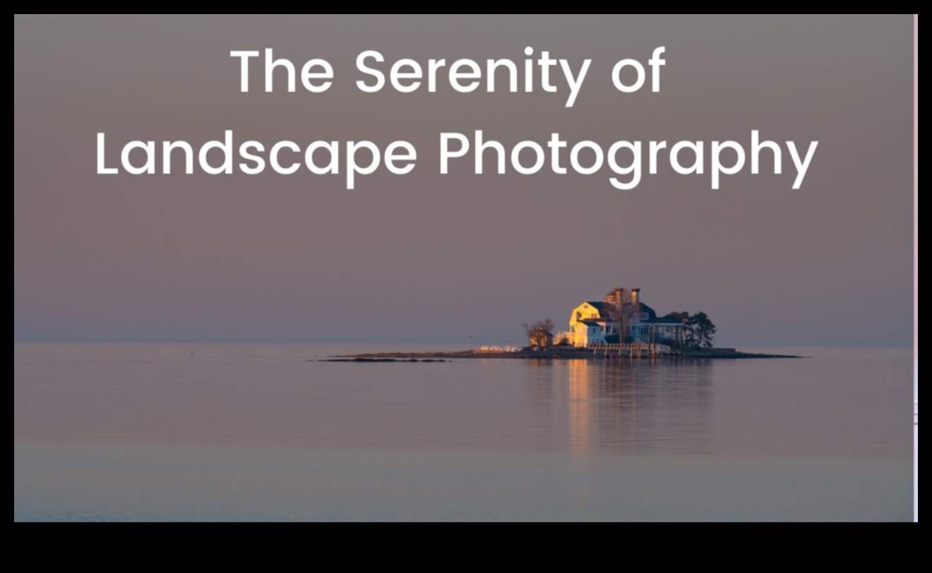 Tranquil Oases: Discovering Serenity in Landscape Photography