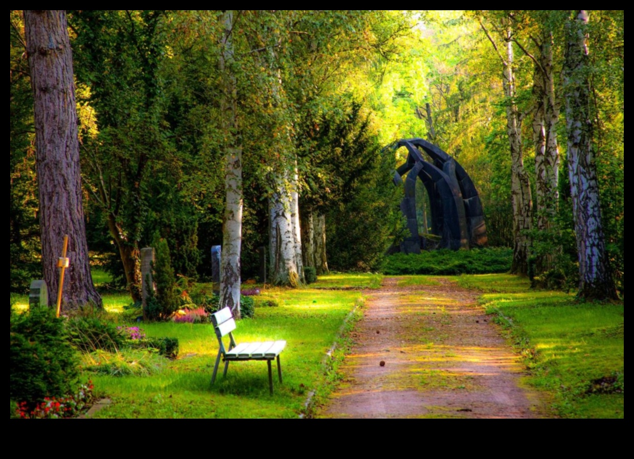 Whispers of Earth: A Collection of Serene and Tranquil Landscapes in Every Frame