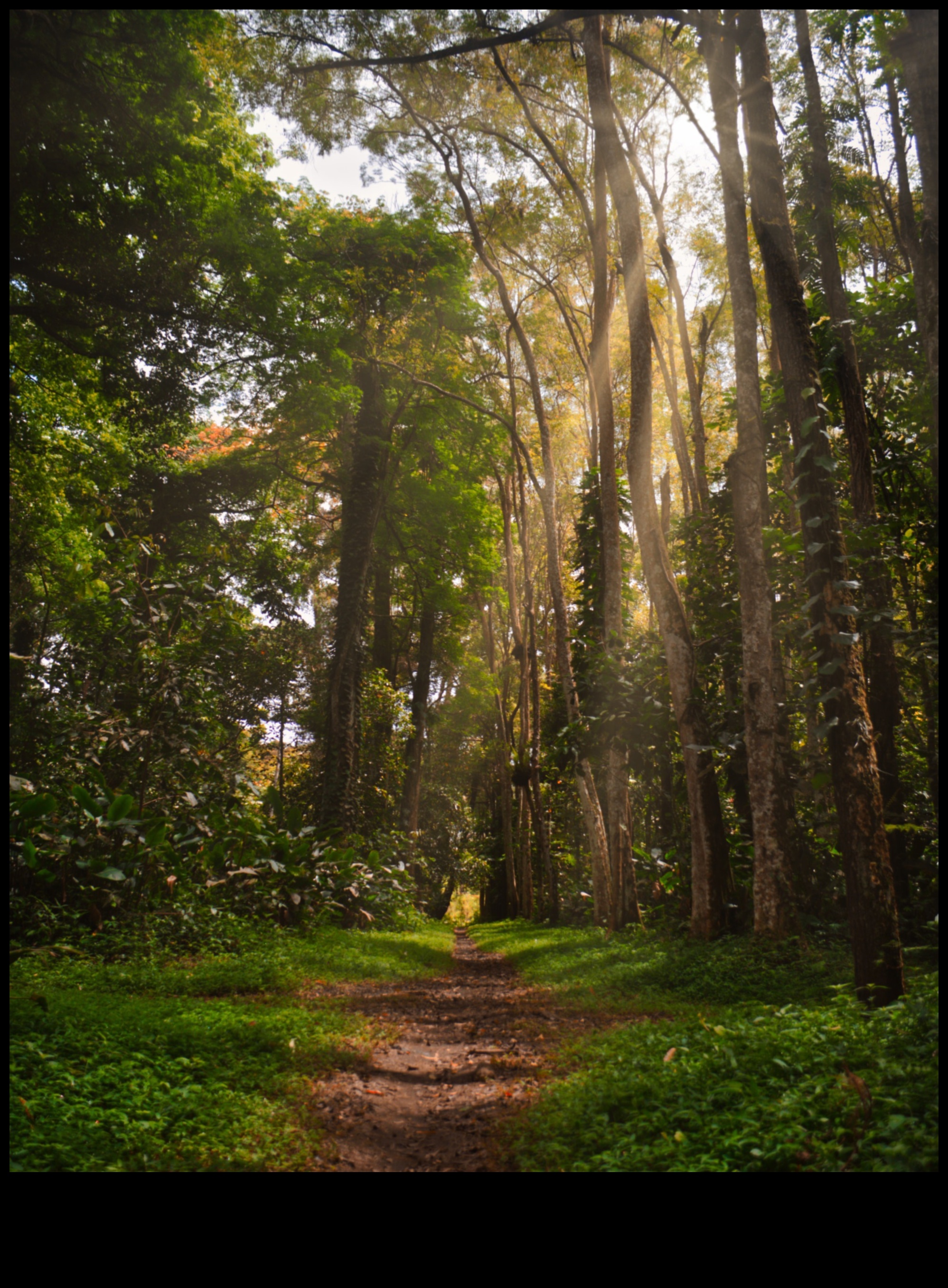 Whispers of Earth: A Collection of Serene and Tranquil Landscapes in Every Frame