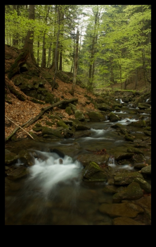 Whispers of Earth: A Collection of Serene and Tranquil Landscapes in Every Frame