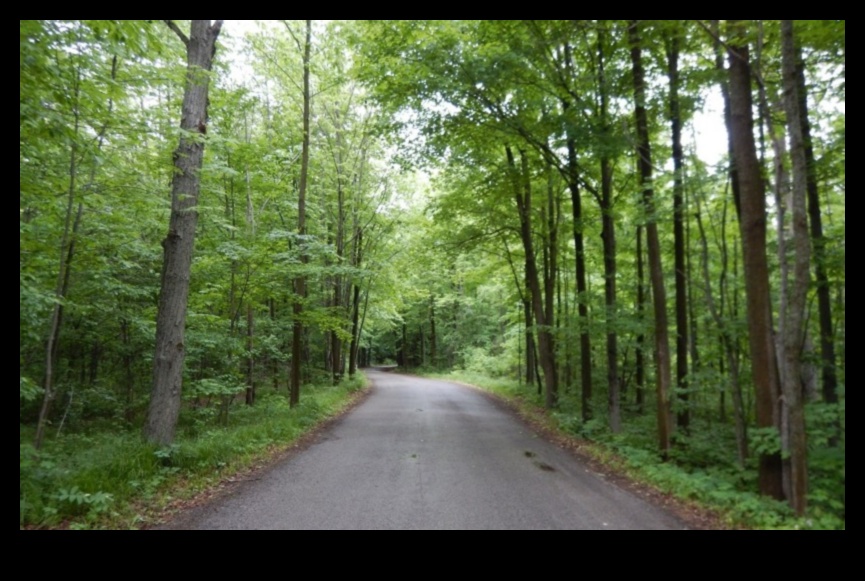 Enchanting Perspectives: A Collection of Captivating Landscapes Unveiled