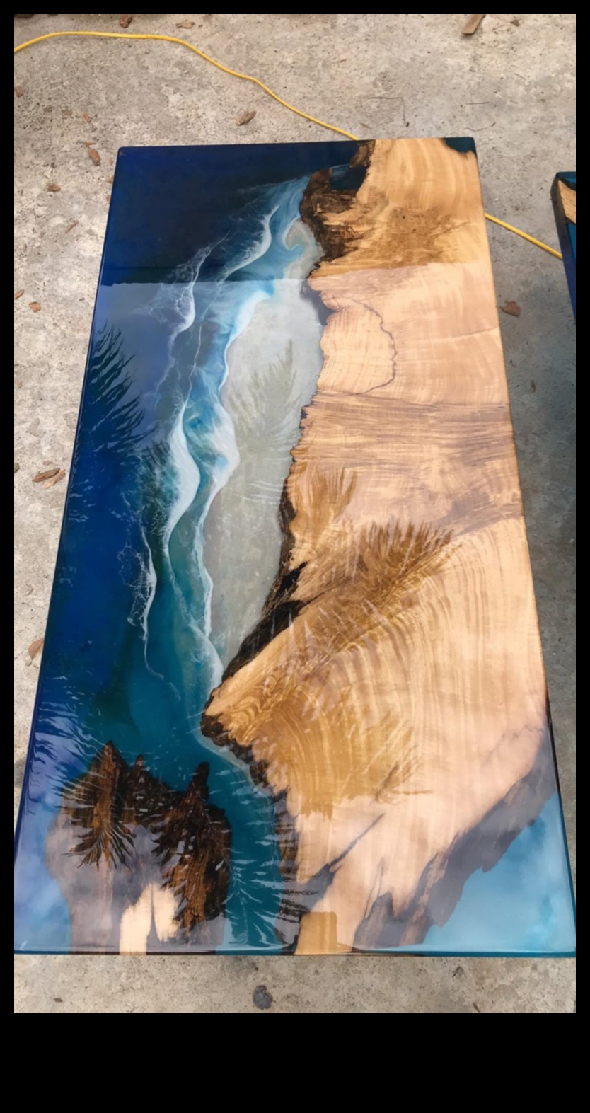 Water's Edge: Where Land Meets Aquatic Life