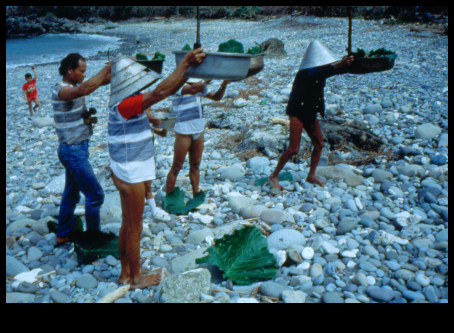 Shores in Focus II: Rediscovering Coastal and Shoreline Marvels