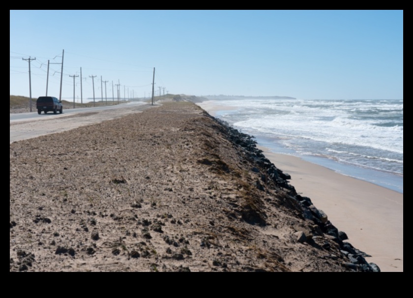 The Slow-Motion Disaster of Coastal Erosion 1