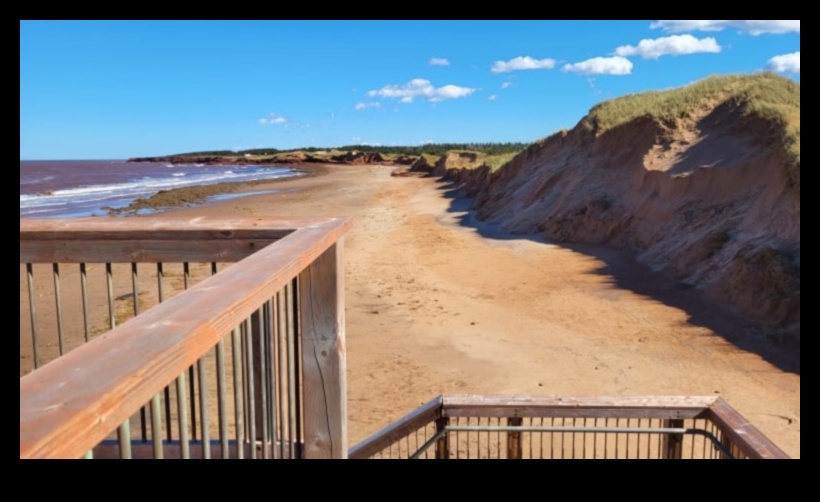 Coastal Erosion: Shaping Cliffs and Shorelines