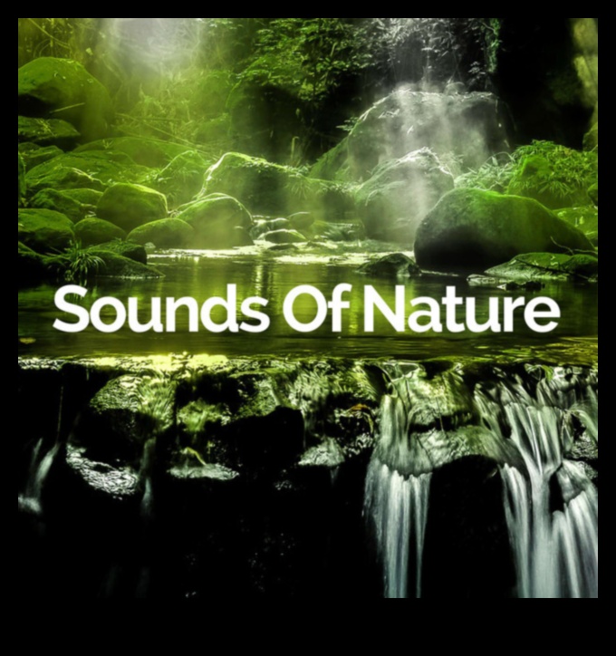 The Sound of Nature 1