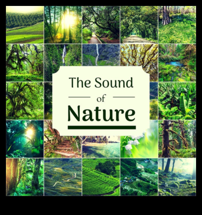 Landscapes in Music: Melodies Echoing Natural Beauty