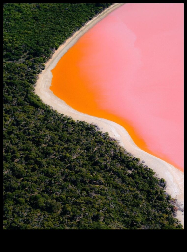 The Sublime Beauty of Nature 1