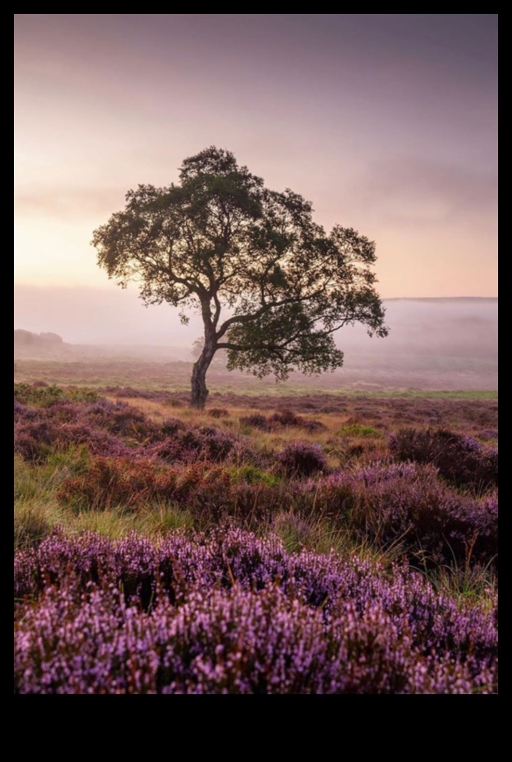 Rural Rhapsody: Capturing the Essence of Countryside Beauty