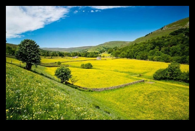 Rural Rhapsody: Capturing the Essence of Countryside Beauty