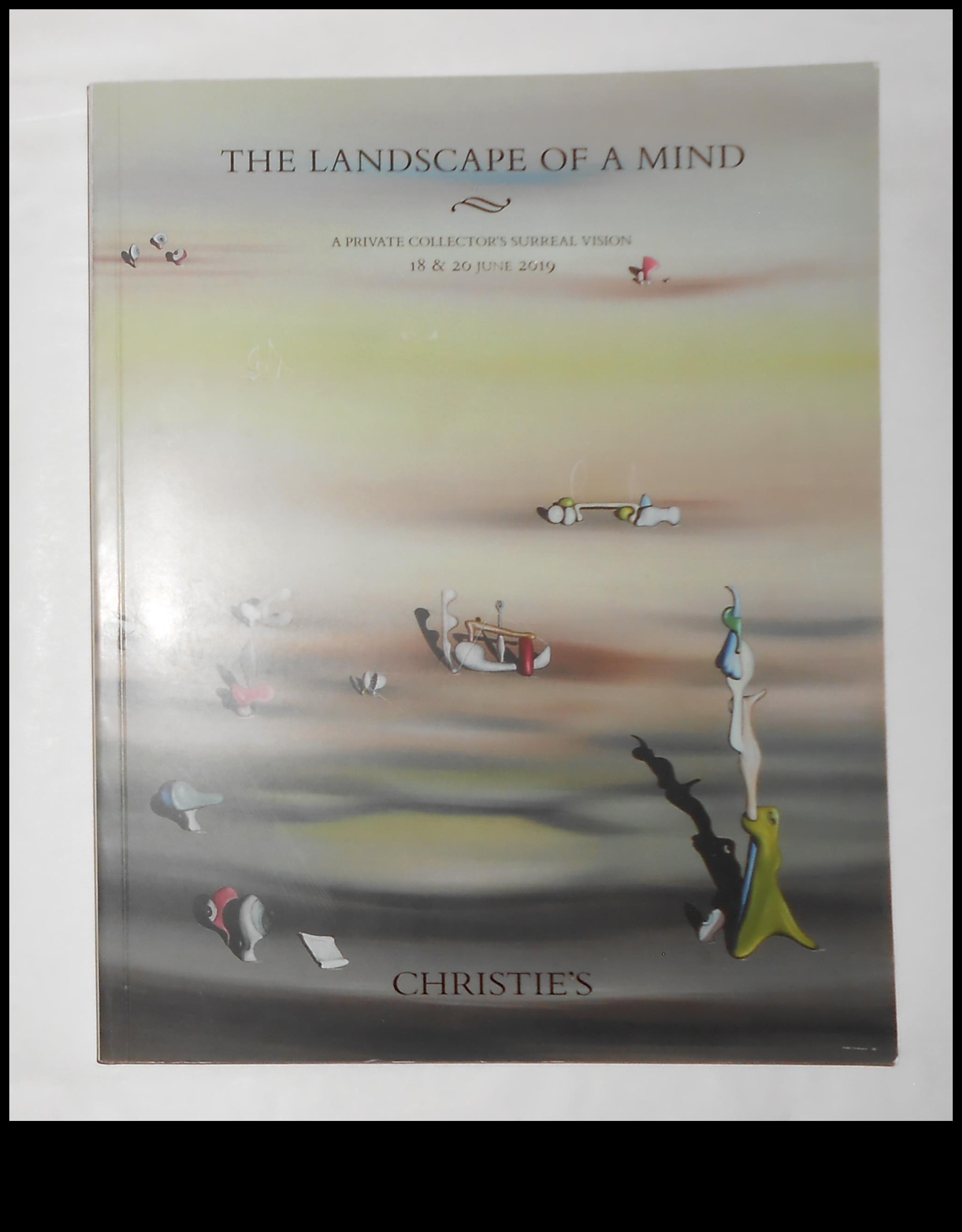 Dreamlike Horizons: A Journey Through Surreal and Beautiful Landscapes