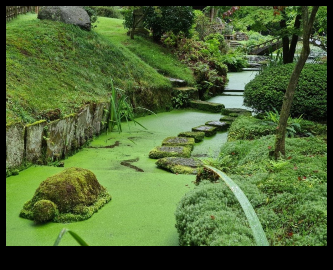 Gentle Mosses and Stone Paths: Japanese Garden Zen